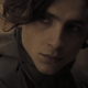 Timothee Chalamet in Dune